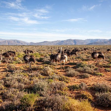 Inverdoorn Game Reserve Lodge Breede River Exterior foto