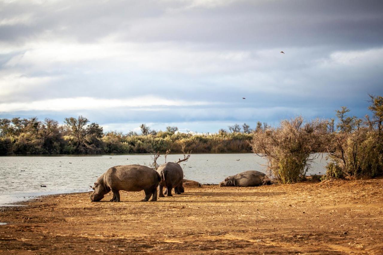 Inverdoorn Game Reserve Lodge Breede River Exterior foto